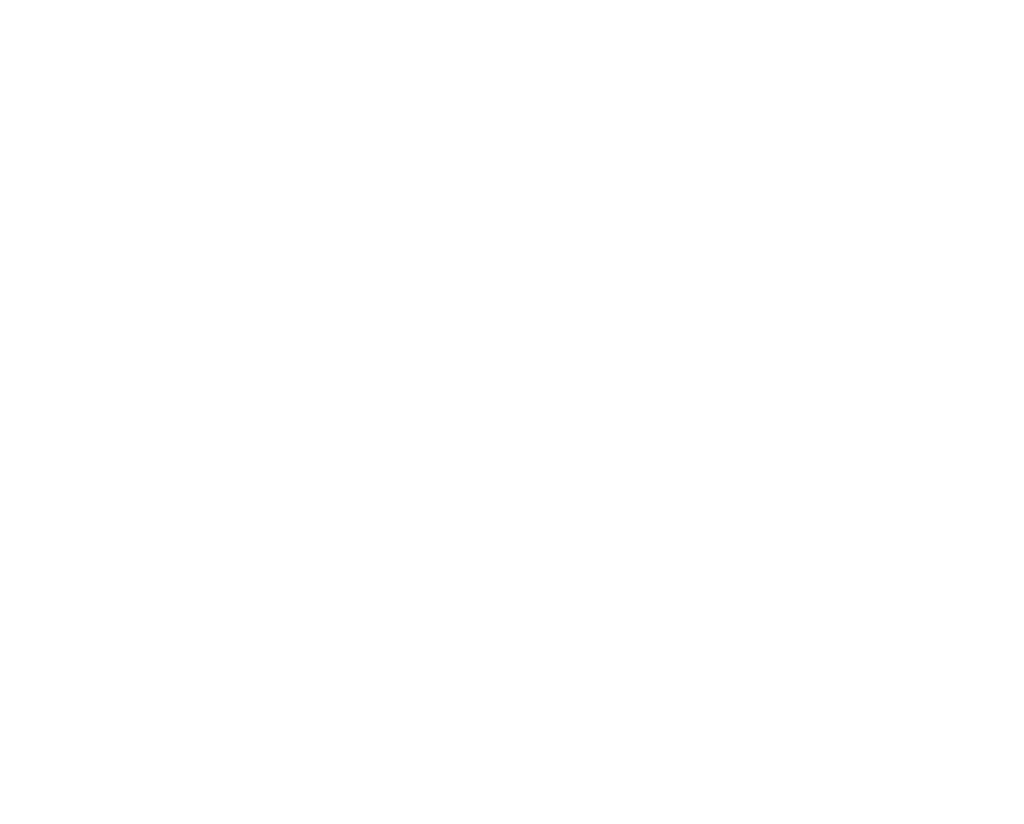 Cunard Cruise Lines