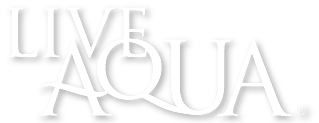 Live Aqua