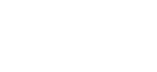 Ethiad Airways